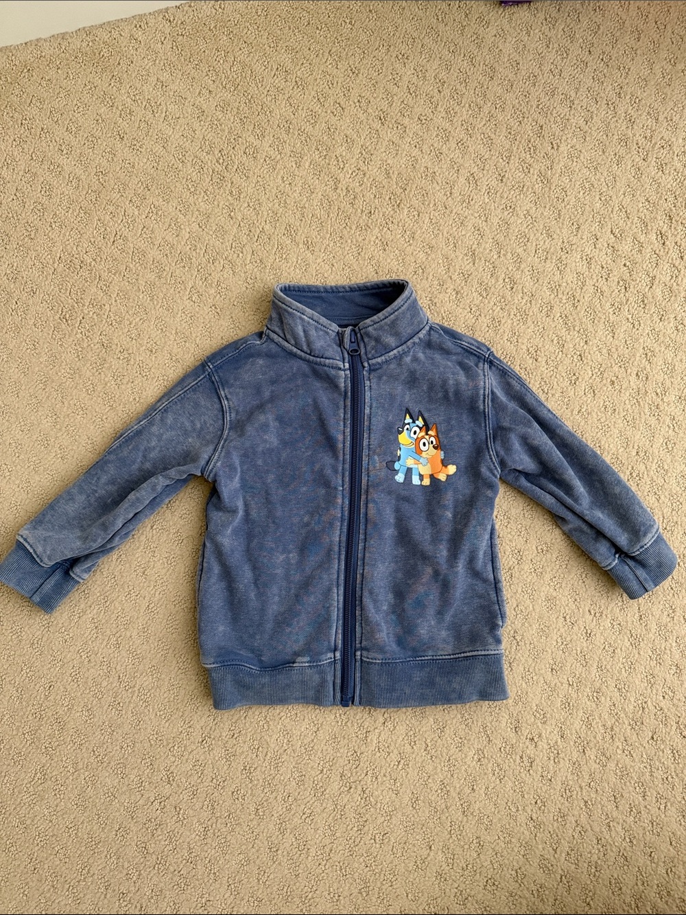 Blue Kids Full-Zip Hoodie with Cartoon Character